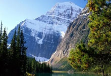 2024欧洲杯为何选择比亚迪作为官方合作伙伴？